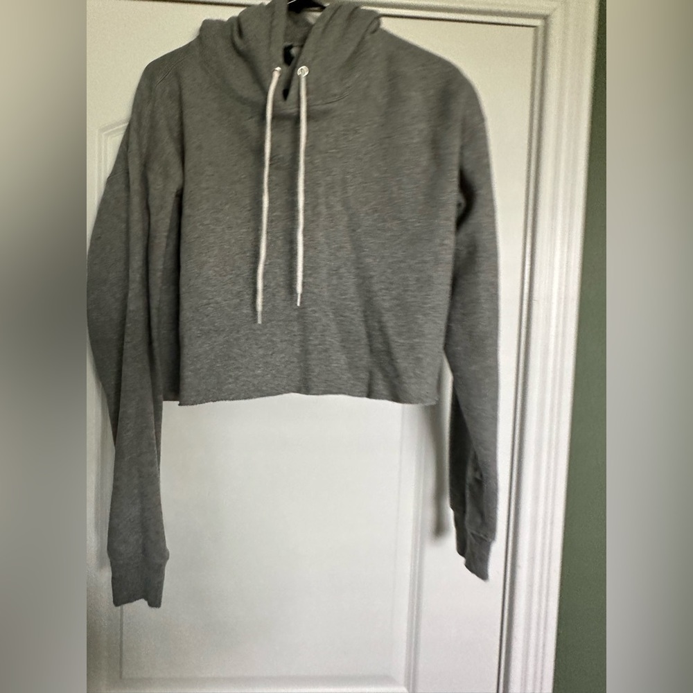 Light gray cropped hoodie, wild fable brand.